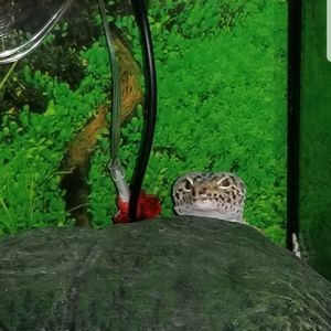 Meet your Posher, Tabitha